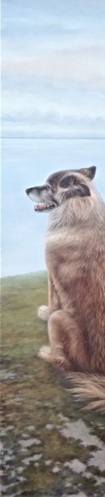 Eemeli, öljyvärimaalaus kalliolla istuvasta koirasta.