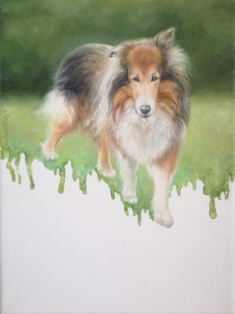Mister, öljyvärimaalaus shetlanninpaimenkoirasta.