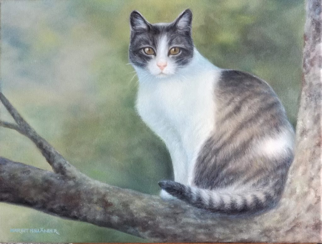 Sissi, öljyvärimaalaus puun oksalla istuvasta kissasta.