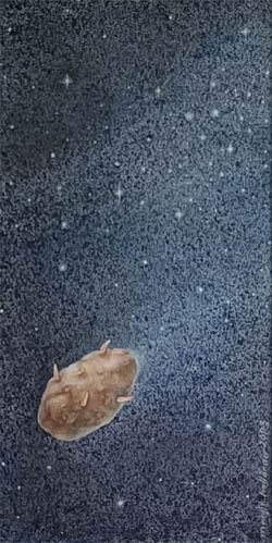 Ituperuna kiitää avaruuden halki. Akvarellii.