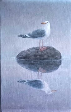 Lokki seisoo kivellä, katsoo vasemmalle. Lokin heijastus katsoo oikealle.