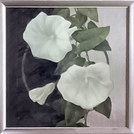 Valkoisia kukkia, kierto. Öljyväri ja pastelli kankaalle.