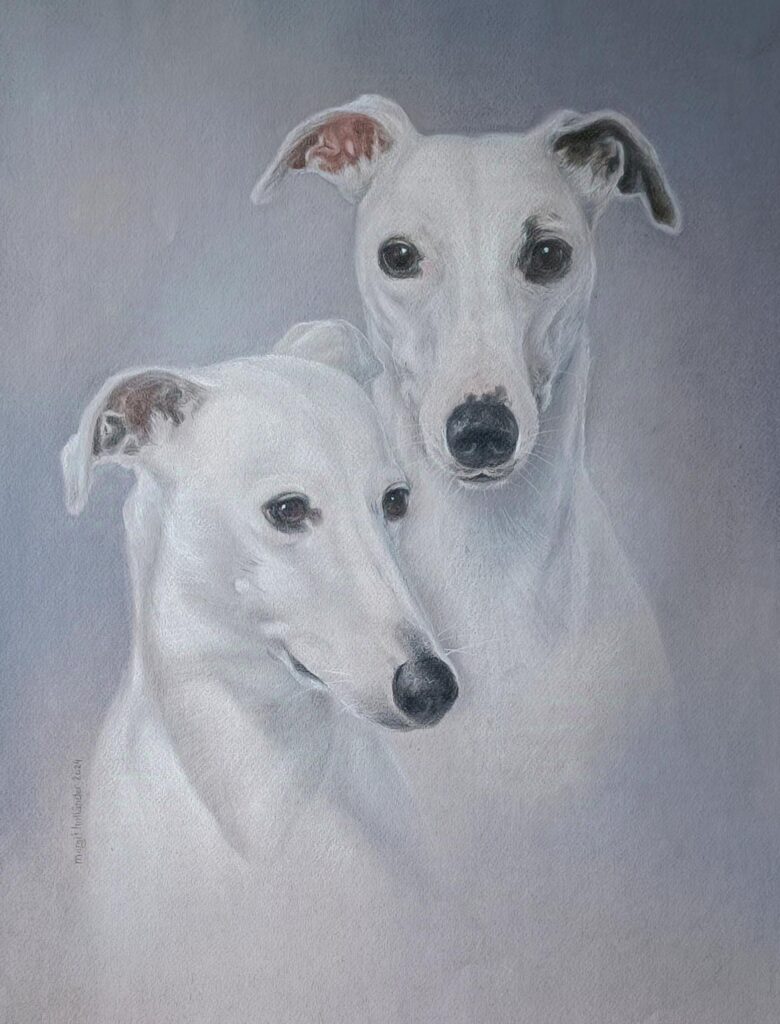 Kaksi whippetiä pastellein.